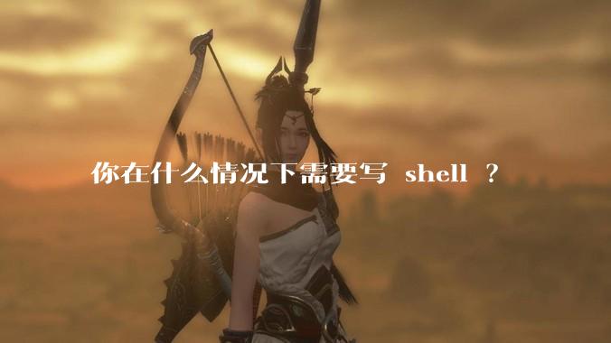 你在什么情况下需要写 shell ？