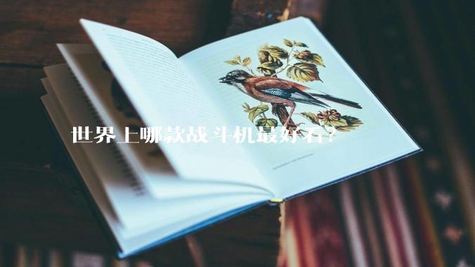 世界上哪款战斗机最好看？