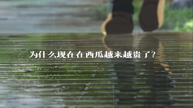 为什么现在在西瓜越来越贵了？