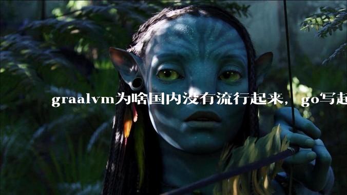 graalvm为啥国内没有流行起来，go写起来实在太恶心了，难道任凭go独霸云原生？