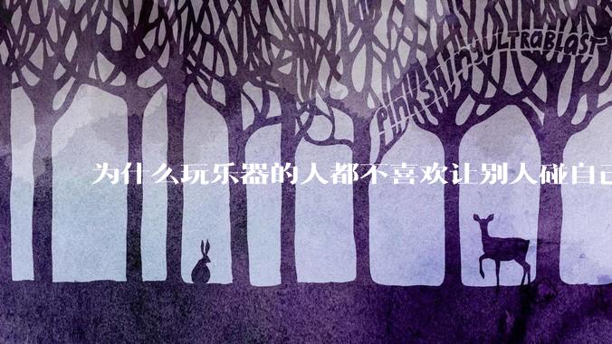 为什么玩乐器的人都不喜欢让别人碰自己的乐器？