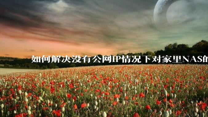 如何解决没有公网IP情况下对家里NAS的高速远程访问？