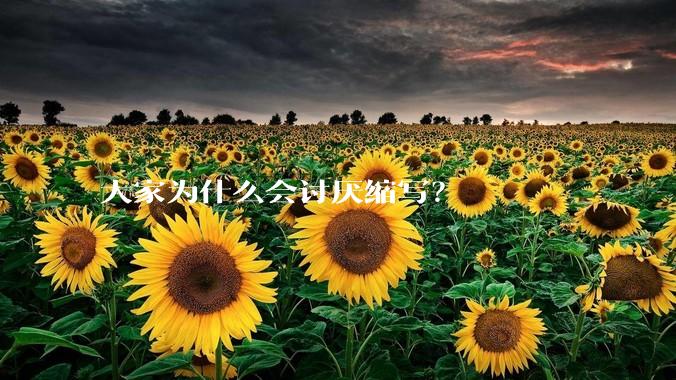 大家为什么会讨厌缩写？