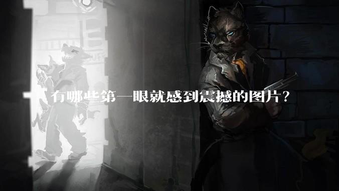 有哪些第一眼就感到震撼的图片？