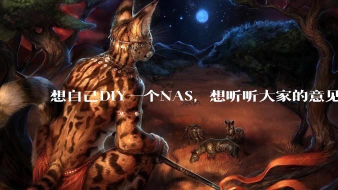 想自己DIY一个NAS，想听听大家的意见。？