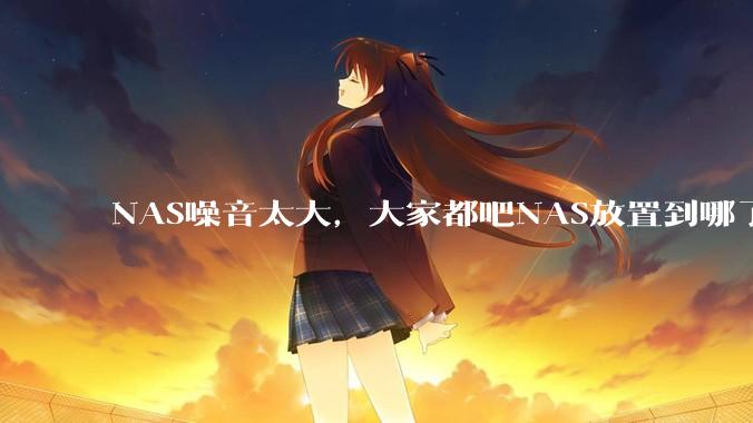 NAS噪音太大，大家都吧NAS放置到哪了？