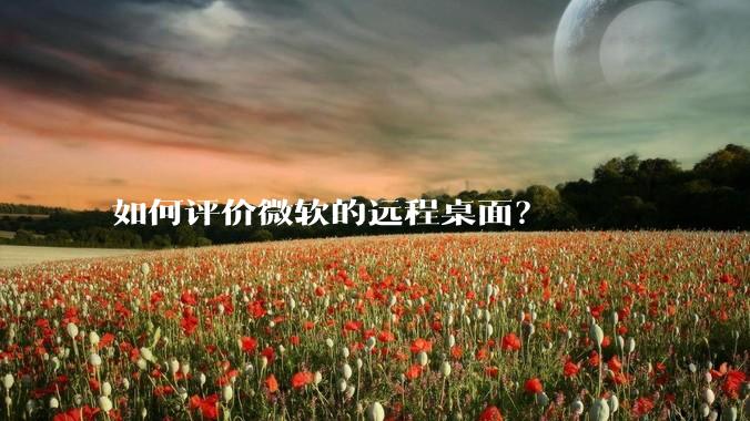 如何评价微软的远程桌面？